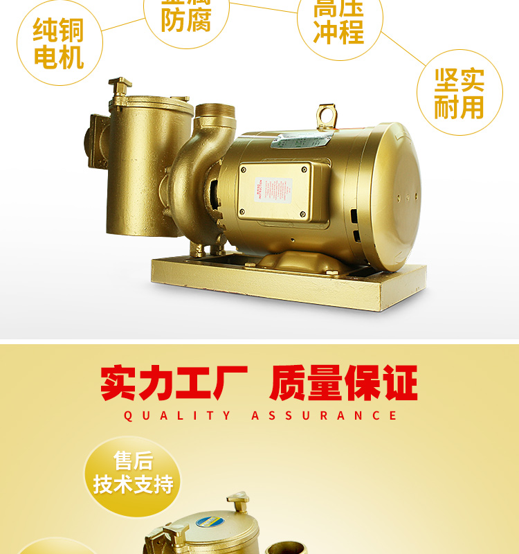 泳池带毛发过滤铜泵